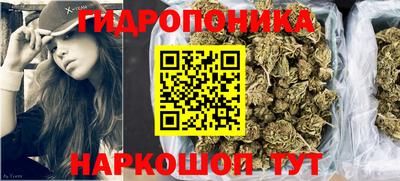 гидропоника Ирбит