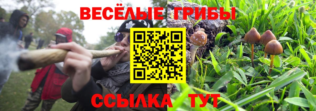 Галлюциногенные грибы GOLDEN TEACHER  Вход с VPN  Ханты-Мансийск 